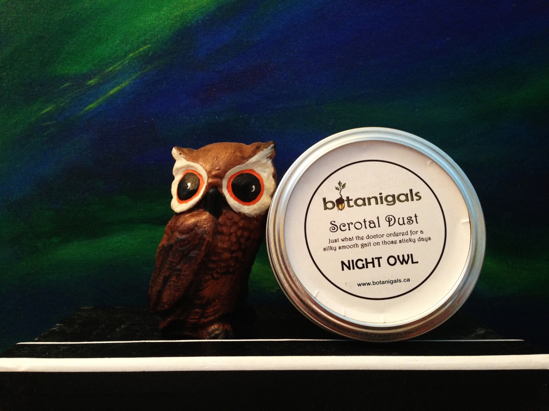 Night Owl.jpg