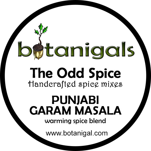 the-odd-spice-punjabi-garam-masala-for-web