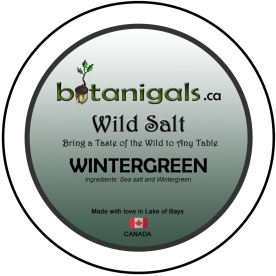 Wild Salt WINTERGREEN  for 3in stickers for print.jpg